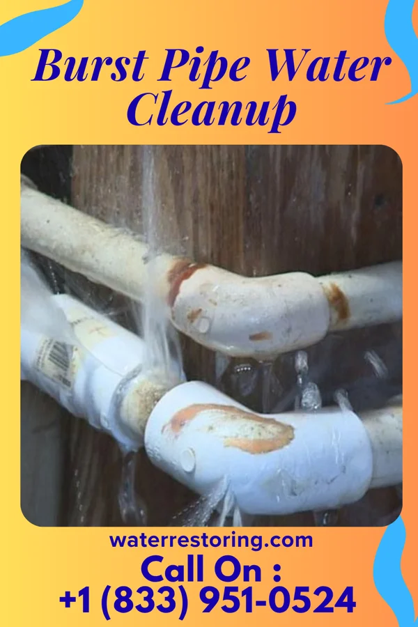 Burst Pipe Water Cleanup in Manheim, PA