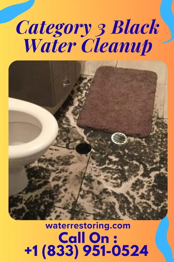 Category 3 Black Water Cleanup in Manheim, PA