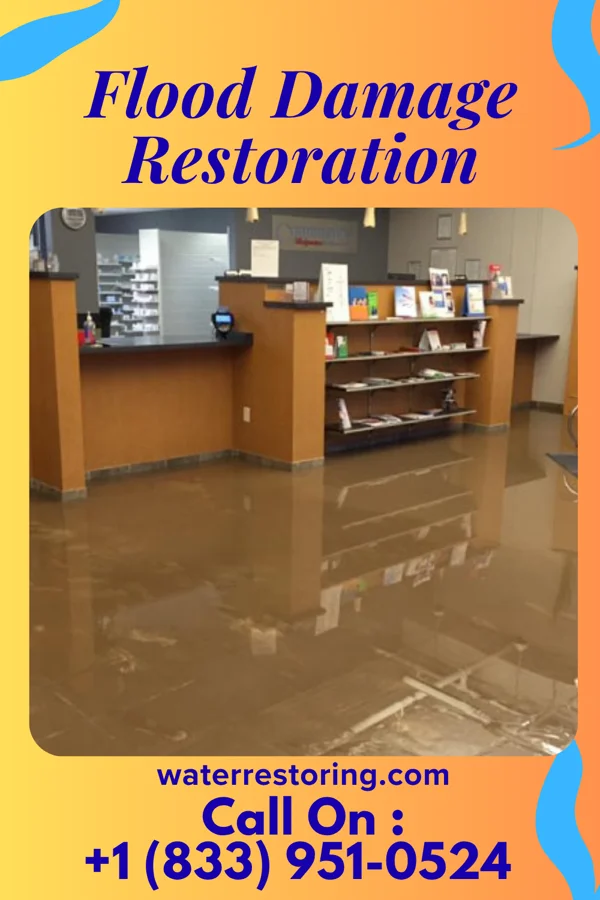 Flood Damage Restoration in Manheim, PA