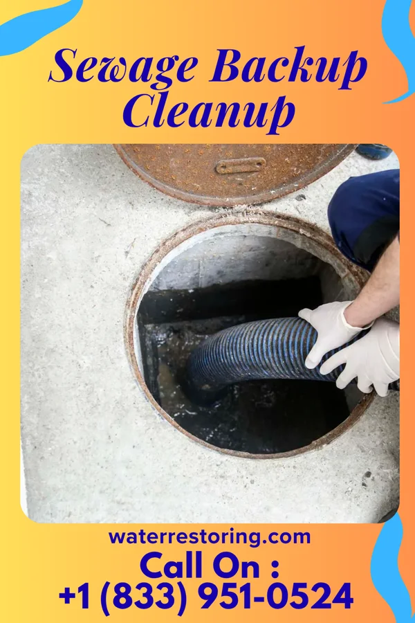Sewage Backup Cleanup in Manheim, PA